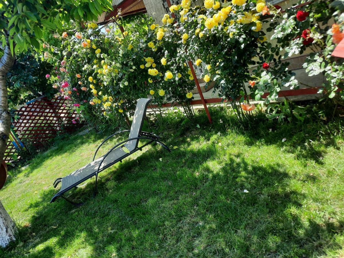Casa De Vacanta Alexoiu Două Mai מראה חיצוני תמונה